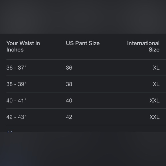 ESCADA velour pants size 42 XL - Picture 7 of 7